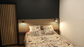 superbe appartement T2 proche de vulcania